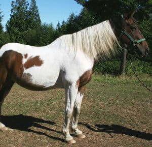 Arrow_Aug2013 (2) - Copy