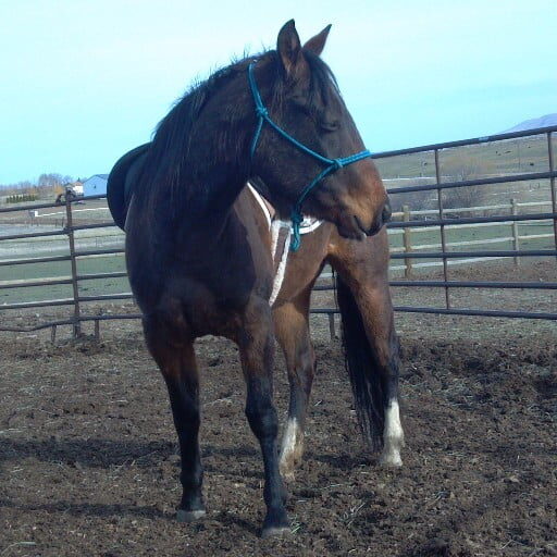 2012-04-09_17-16-49_421 2012-04-09_17-16-49_421