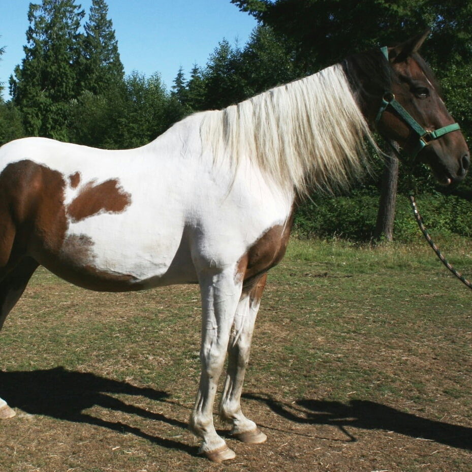 Arrow_Aug2013 (2) - Copy