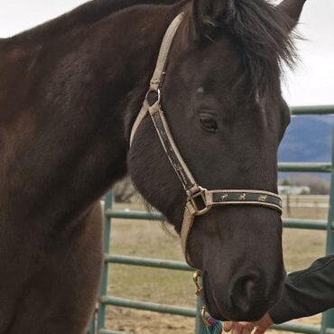 DSC_0034_openWith DSC_0034_openWith