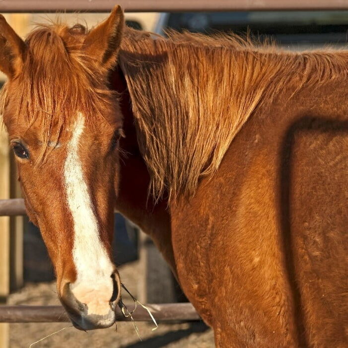 DSC_0049_openWith ?????