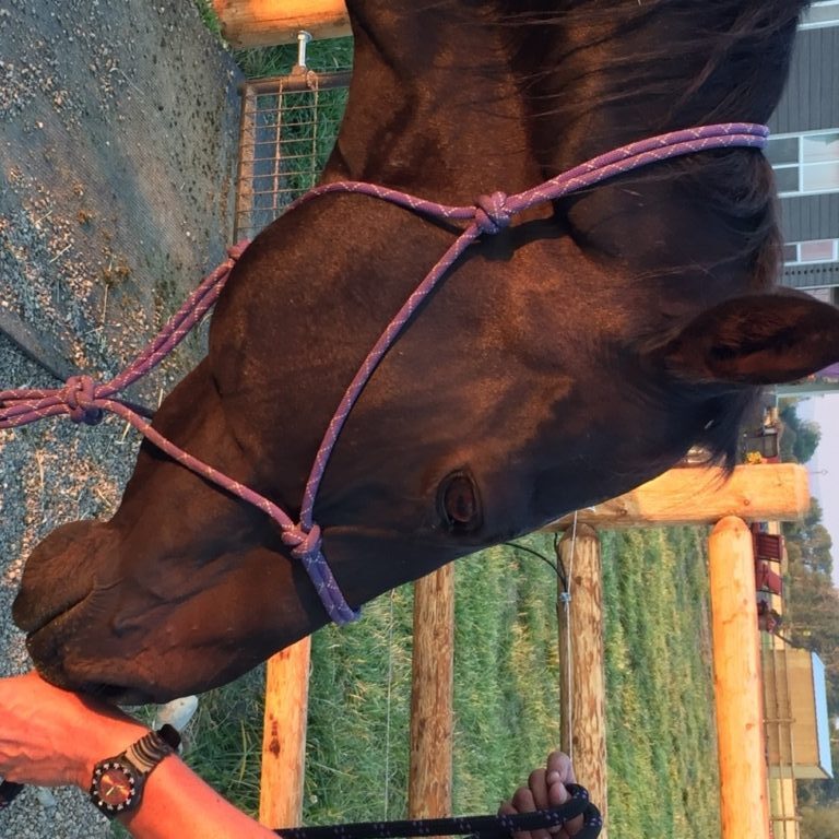 charlie head charlie head