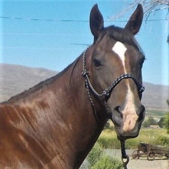 ck molly mcguire (1) - Copy