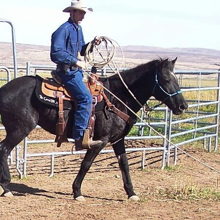 dixie riding 016 - Copy