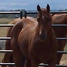 eve (2) - Copy eve (2) - Copy