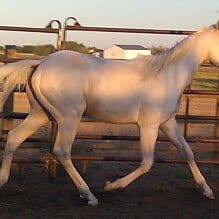 gwen 8-20-11 - Copy gwen 8-20-11 - Copy