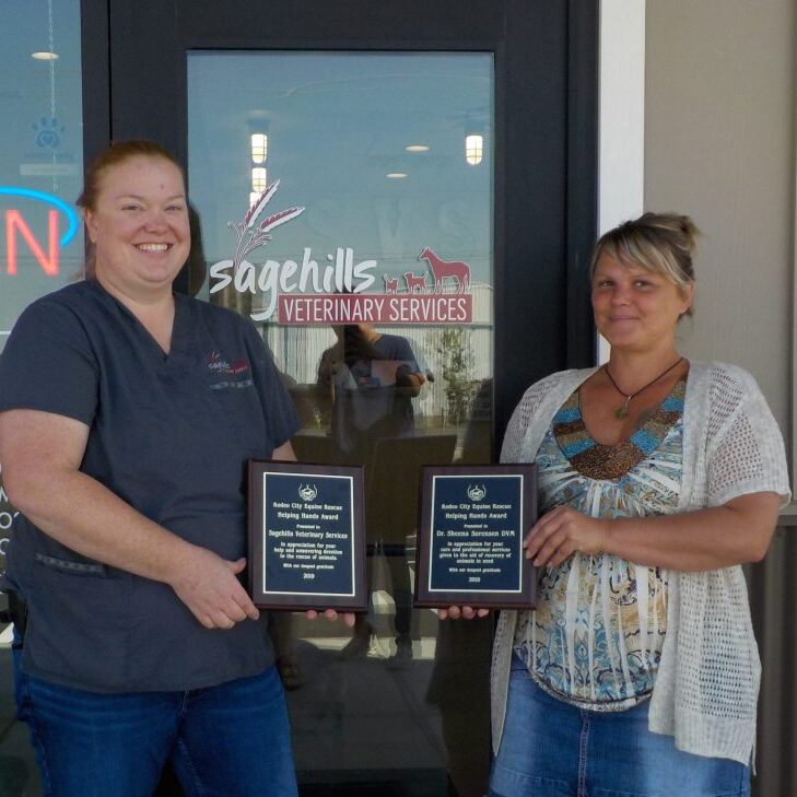 helping hand 2019 sagehill (2)