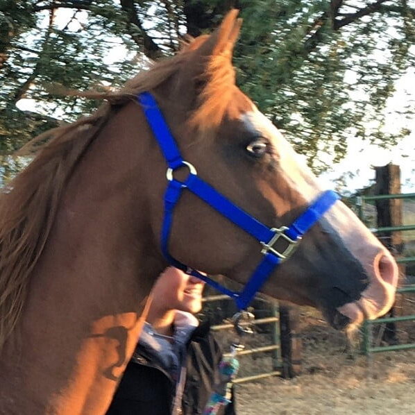 image1 - Copy image1 - Copy