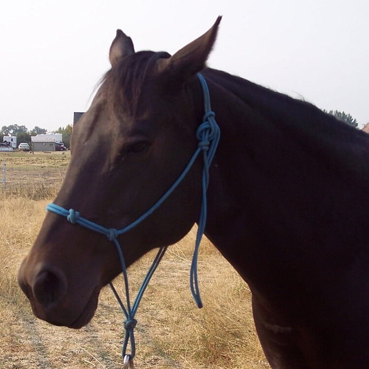 lil nita tubbs (5) lil nita tubbs (5)