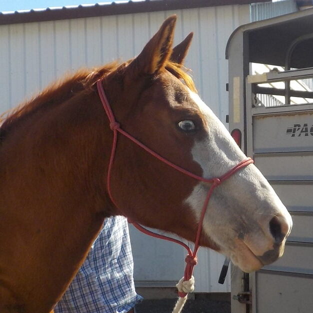 mariah (5) mariah (5)