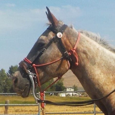 moe ride face moe ride face