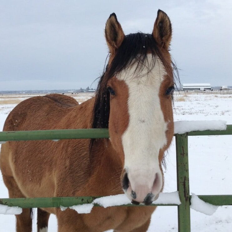 patriot3 ??????????????????????????