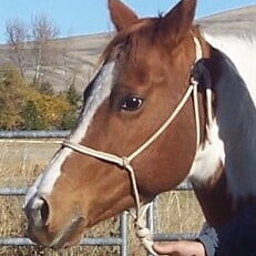 sadie shine trim 002 - Copy