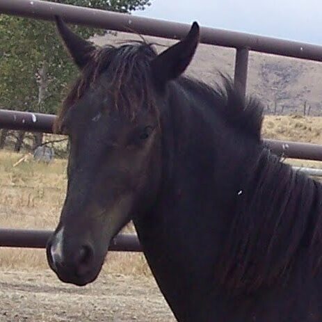 serena face serena face