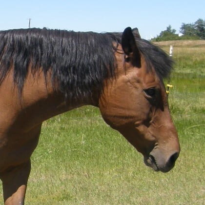 OLYMPUS DIGITAL CAMERA OLYMPUS DIGITAL CAMERA