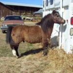 Tuff E Nuff, 9-25-16